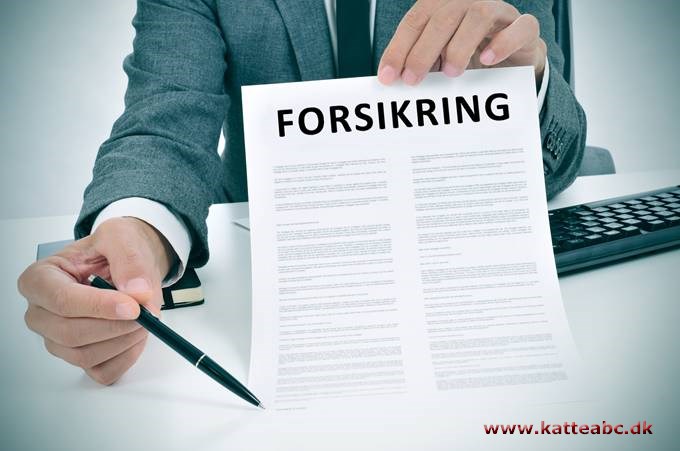 Forsikringer