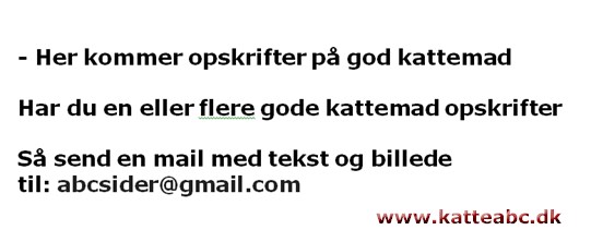 - Gode kattemad opskrifter