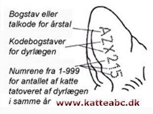 Øremærkning